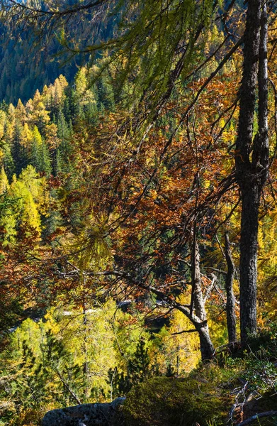 Tranquillo autunno Alpi vista foresta di montagna. Reiteralm, Steiermark — Foto Stock