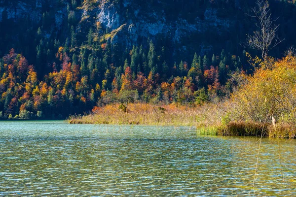 Alpes de outono pacífica lago de montanha Offensee lago, Salzkammergut , — Fotografia de Stock