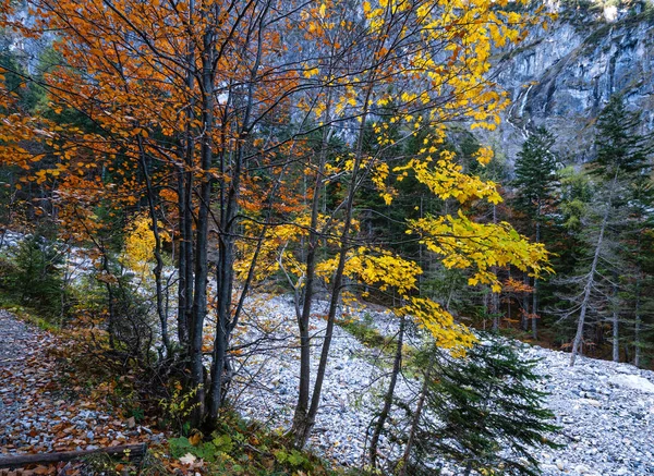 Tranquillo autunno Alpi vista foresta di montagna dal sentiero, Terreno — Foto Stock