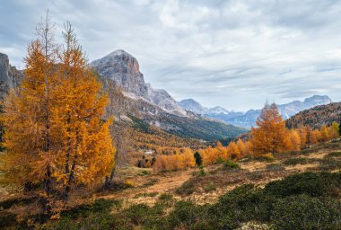 Renkli sonbahar dağları Dolomitler Dağ Sahnesi, Sudtirol, İtalya