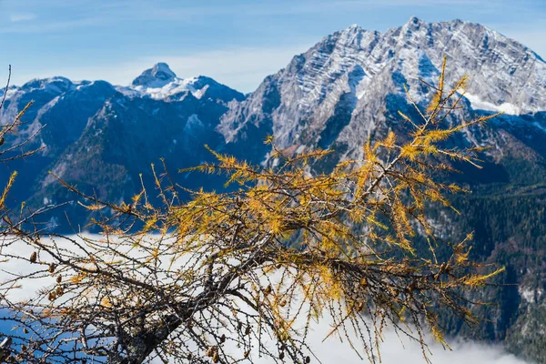 Podzimní Alpy horské mlhavé ráno pohled z Jenner vyhlídkové plošiny — Stock fotografie
