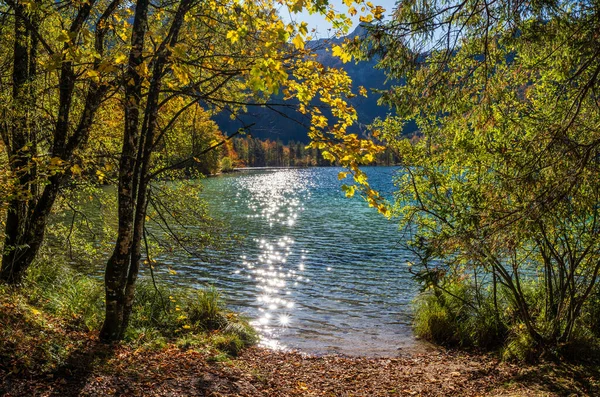 Huzurlu Sonbahar Alpleri dağ gölü Offensee gölü, Salzkammergut, — Stok fotoğraf