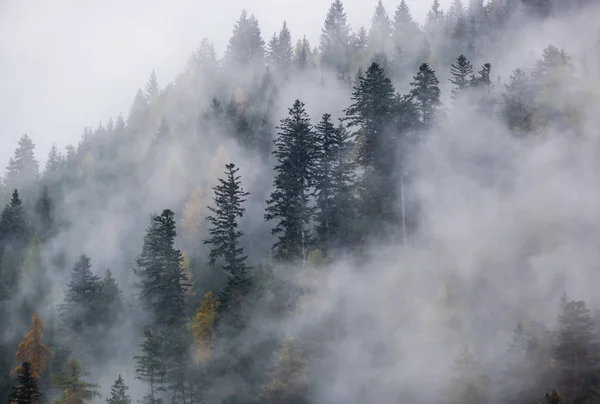 Mystic cloudy and foggy autumn alpine mountain slopes scene. Aus — Stock Photo, Image