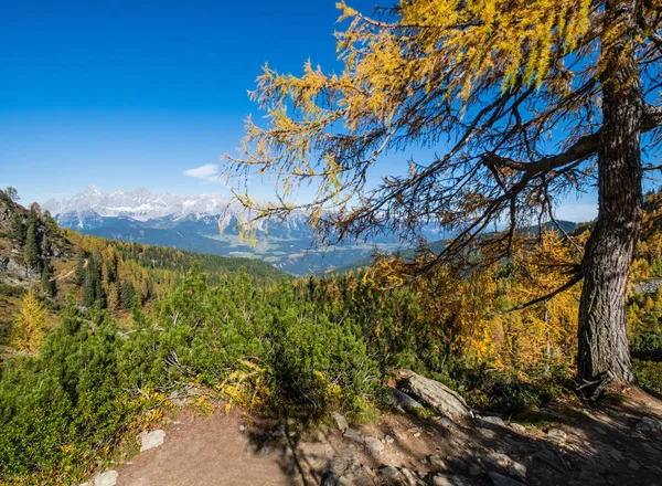 Tranquilo otoño Alpes vista a la montaña. Reiteralm, Steiermark, Austr — Foto de Stock