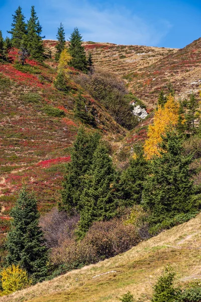Békés ősz Alpok hegyi napos kilátás túraútvonalról D — Stock Fotó