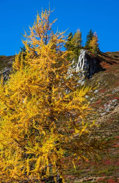 Otoño pacífico Alpes montaña vista soleada desde la ruta de senderismo de D —  Fotos de Stock