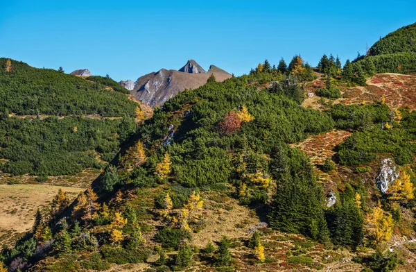 Dからのハイキングコースからの穏やかな秋のアルプスの山の日当たりの良い景色 — ストック写真