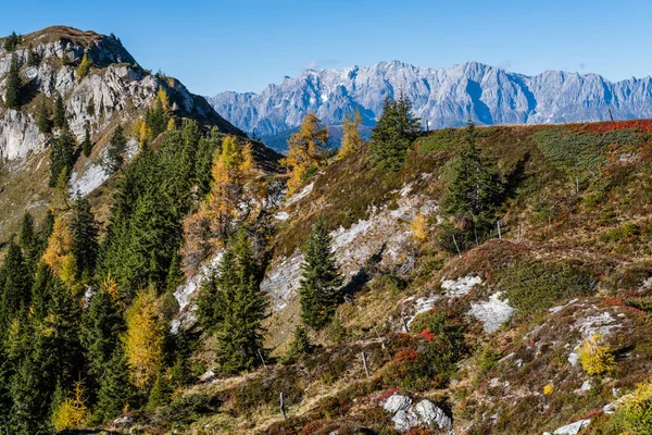 Γαλήνιος φθινόπωρο Άλπεις βουνό ηλιόλουστη θέα από μονοπάτι πεζοπορίας από D — Φωτογραφία Αρχείου