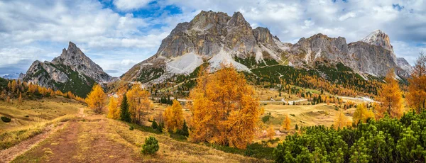 カラフルな秋の高山ドロマイト岩の山のシーン スディトロール イタリア ファルザレッゴ パスからの静かな眺め 絵のような旅行 自然と田舎の美しさのコンセプトシーン — ストック写真