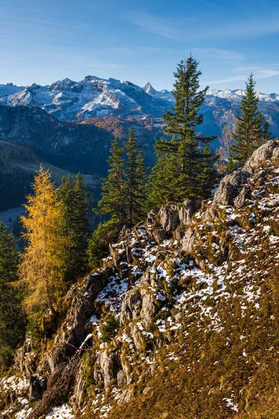 Otoño Alpes Montaña Brumosa Vista Mañana Desde Jenner Viewing Platform —  Fotos de Stock