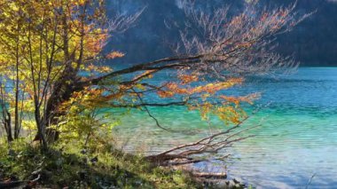 Güneşli, huzurlu sonbahar dağları manzarası. Şeffaf su ve yansımalarla huzurlu bir sonbahar Alpleri dağı gölü. Offensee Gölü, Salzkammergut, Yukarı Avusturya.