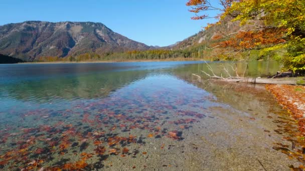 Slunečný Idylický Barevný Podzimní Alpský Pohled Klidné Horské Jezero Alpách — Stock video