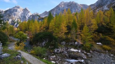 Dağdan Tappenkarsee, Kleinarl, Land Salzburg, Avusturya 'ya sonbahar dağ yürüyüşü manzarası. Resimli yürüyüş, mevsimlik ve doğa güzelliği konsepti..