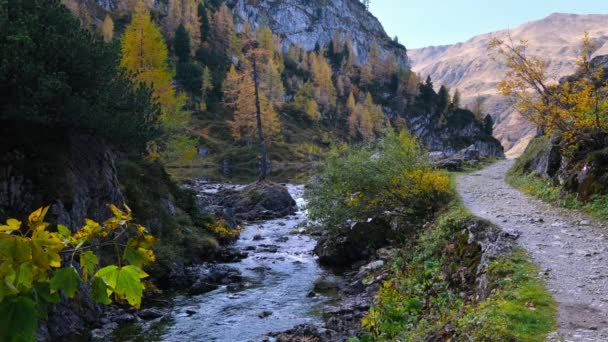 Jesienny Widok Alpejski Strumień Ścieżki Górskiej Tappenkarsee Kleinarl Land Salzburg — Wideo stockowe
