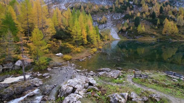 秋天高山溪流从高山远足路径到奥地利萨尔茨堡市Kleinarl的Tappenkarsee 风景如画的远足 季节性的 自然美景的概念风景 — 图库视频影像