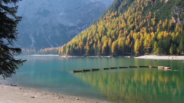 Otoño Tranquilo Lago Alpino Braies Pragser Wildsee Parque Nacional Fanes — Vídeo de stock