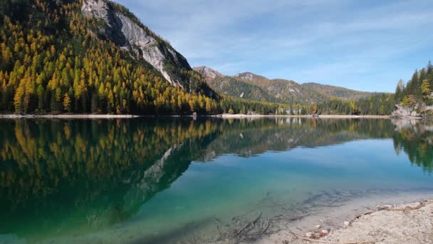 Φθινόπωρο Ειρηνική Αλπική Λίμνη Braies Pragser Wildsee Εθνικό Πάρκο Fanes — Αρχείο Βίντεο