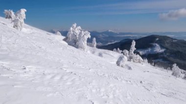 Dağ sisli sabah manzarası. Kayak merkezi Dragobrat, Karpat Dağları, Ukrayna.