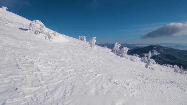 Vista Nebulosa Ventosa Montanha Estância Esqui Dragobrat Montanhas Dos Cárpatos — Vídeo de Stock