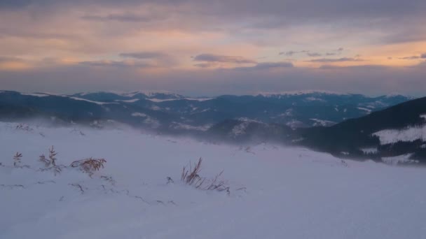 高山朦胧和多云的晨雪 乌克兰喀尔巴阡山脉德拉戈布拉特滑雪胜地 因为强风 相机微微抽动 — 图库视频影像