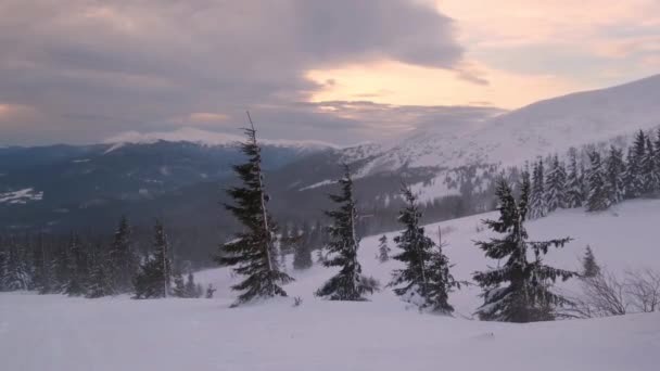 Berg Dimmig Och Molnig Morgon Snöstorm Utsikt Skidanläggning Dragobrat Karpaterna — Stockvideo