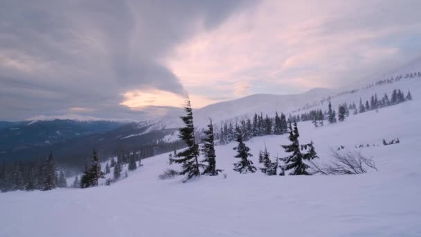 Montaña Nebulosa Nublada Vista Tormenta Nieve Mañana Estación Esquí Dragobrat — Vídeo de stock