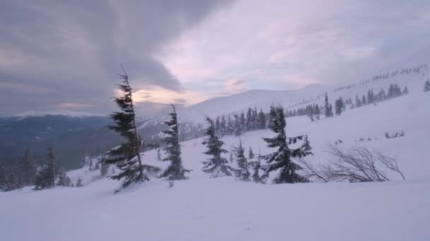高山朦胧和多云的晨雪 乌克兰喀尔巴阡山脉德拉戈布拉特滑雪胜地 因为强风 相机微微抽动 — 图库视频影像