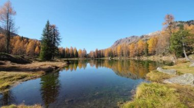 Autumn alpine mountain lake near San Pellegrino Pass, Trentino, Dolomites Alps, Italy. Picturesque traveling, seasonal and nature beauty concept scene.