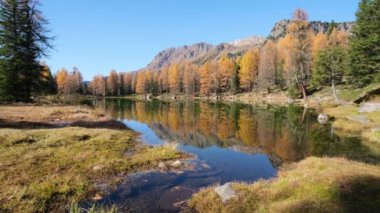 Autumn alpine mountain lake near San Pellegrino Pass, Trentino, Dolomites Alps, Italy. Picturesque traveling, seasonal and nature beauty concept scene.