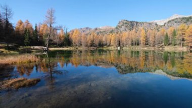 Autumn alpine mountain lake near San Pellegrino Pass, Trentino, Dolomites Alps, Italy. Picturesque traveling, seasonal and nature beauty concept scene.