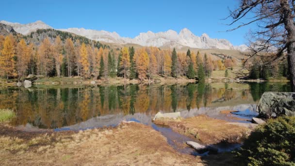 Jesienne Alpejskie Jezioro Pobliżu Przełęczy San Pellegrino Trentino Alpy Dolomitowe — Wideo stockowe