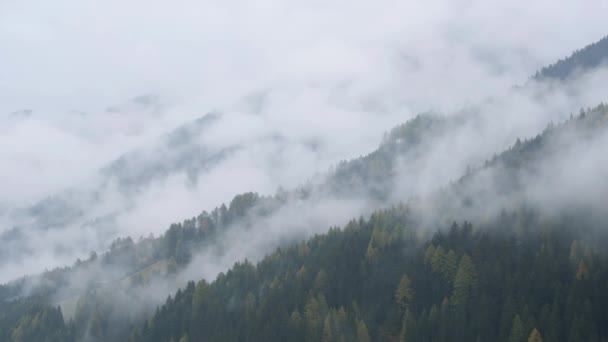 神秘的な曇りと霧の秋の高山の山の斜面のシーン オーストリアのLienzer Dolomiten Alps 穏やかな絵の旅 自然と田舎の美しさのコンセプトシーン — ストック動画