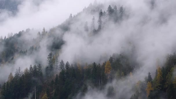 Mystieke Bewolkte Mistige Herfst Alpine Berghellingen Scene Oostenrijkse Lienzer Dolomieten — Stockvideo