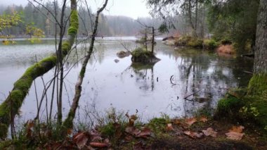 Hintersee Dağı 'na sonbahar yağmuru, Berchtesgaden Ulusal Parkı, Deutschland, Alpler, Bavyera, Almanya. Resimli seyahat, mevsimlik ve doğa güzelliği konsepti.