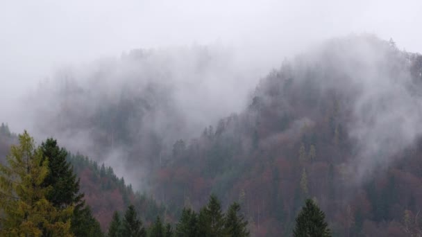 神秘的云雾蒙蒙的秋天高山山坡景致 奥地利Lienzer Dolomiten阿尔卑斯山 和平的风景秀丽的旅游 季节性的 自然的和乡村的美的概念风景 — 图库视频影像