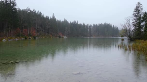 Φθινοπωρινή Βροχή Στην Αλπική Λίμνη Hintersee Berchtesgaden Εθνικό Πάρκο Deutschland — Αρχείο Βίντεο