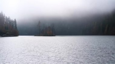 Mountain alpine autumn misty morning lake Konigssee, Schonau am Konigssee, Berchtesgaden national park, Bavaria, Germany. Picturesque traveling, seasonal and nature beauty concept scene.