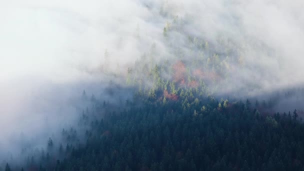 Φθινόπωρο Άλπεις Misty Θέα Στο Βουνό Πρωί Από Jenner Πλατφόρμα — Αρχείο Βίντεο