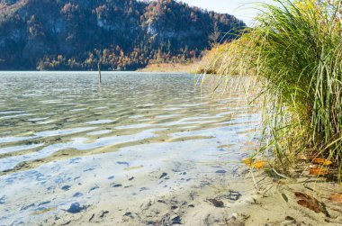 Güneşli, huzurlu sonbahar dağları manzarası. Şeffaf saydam su, dalgalı dalgalar, yansımalar, dipte düşen yapraklarla huzurlu Alpler Dağları Offensee Gölü. Salzkammergut, Yukarı Avusturya.