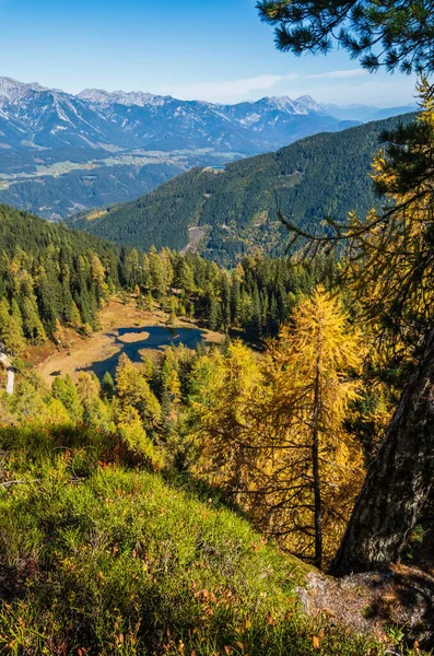 Solig Höst Alpin Utsikt Lugn Fjällskogssjö Med Klart Transparent Vatten — Stockfoto