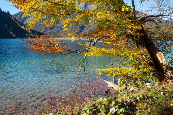 Sunny Idyllic Colorful Autumn Alpine View Peaceful Autumn Alps Mountain — Stock Photo, Image