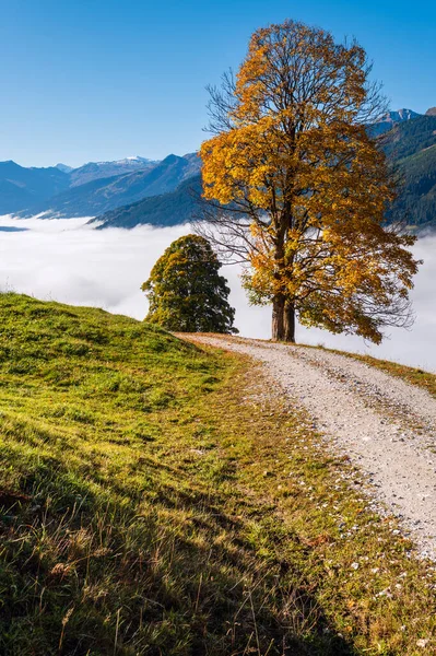 Ensoleillé Idyllique Scène Alpine Automne Matin Paisible Brumeux Alpes Montagne — Photo