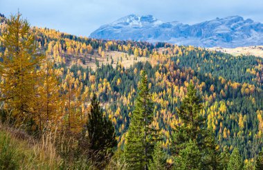 Sonbahar sabahları bulutlu Dolomitler dağ manzarası. Valparola Geçidi yakınlarındaki huzurlu manzara, Belluno, İtalya. Resimli seyahat, mevsimsel, doğa ve kırsal güzellik konsepti.