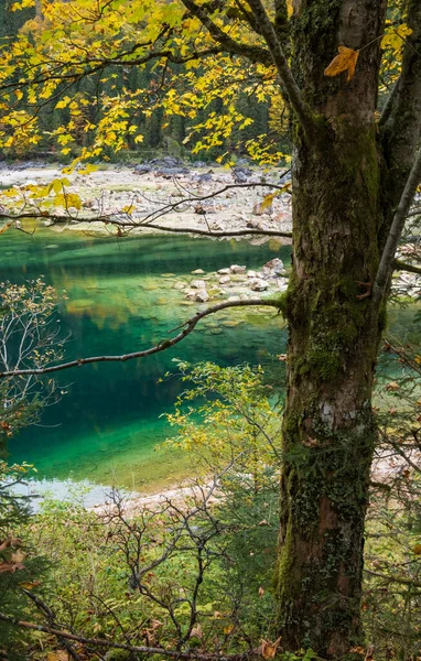 Солнечный Осенний Вид Мирное Горное Озеро Прозрачной Водой Отражениями Гозаузен — стоковое фото