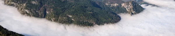 Autumn Alps Mountain Misty Morning View Jenner Viewing Platform Schonau — Stock Photo, Image