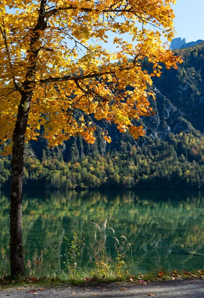Soleado Idílico Colorido Otoño Vista Alpina Lago Sereno Montaña Con —  Fotos de Stock