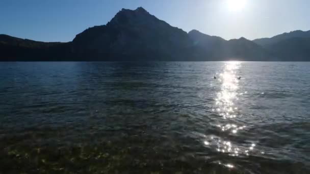 オーストリア北部の遠くにトラウンゼー湖とトラウンシュタイン山への静かな秋の朝の景色 水面に陽射しとアヒルの血 — ストック動画