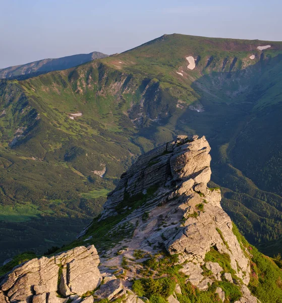 粉红玫瑰杜鹃花 夏天山坡上的大石头巨石 乌克兰Chornohora Carpathian — 图库照片