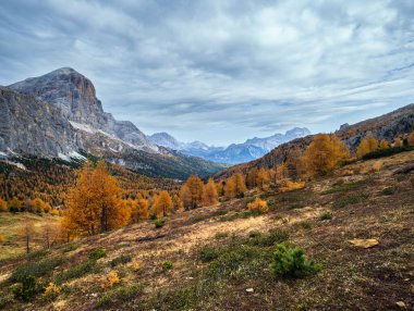 Renkli sonbahar Dolomitleri kayalık dağ manzarası, Sudtirol, İtalya. Falzarego Yolu 'ndan huzurlu bir manzara. Resimli seyahat, mevsimsel, doğa ve kırsal güzellik konsepti.