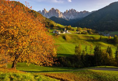 Sonbahar akşamı Santa Magdalena ünlü İtalyan Dolomites köyü manzarası Geisler veya Odle Dolomites dağ kayaları önünde. Resimli seyahat ve kırsal güzellik kavramı.